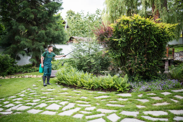 Best Commercial Pest Control Services  in Cutlerville, MI