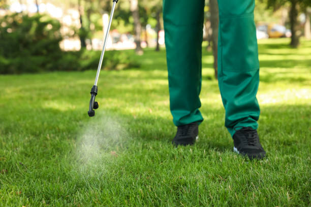 Best Best Pest Control Companies  in Cutlerville, MI