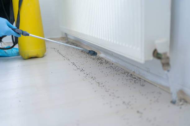 Best Pest Control for Businesses  in Cutlerville, MI