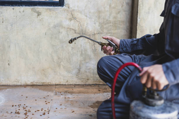 Best Residential Pest Control  in Cutlerville, MI